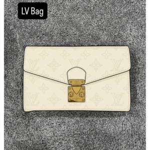 LV Purse