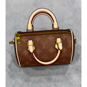 LV Purse